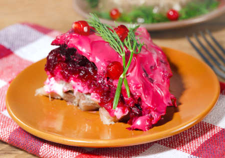 Russian traditional Beetroot salad with fish herringの写真素材