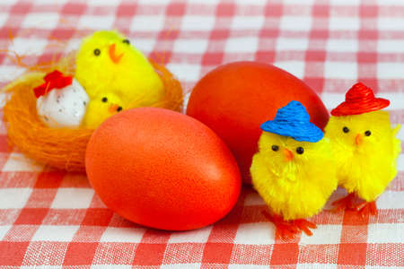 Easter red eggs,  and yellow small chickensの写真素材