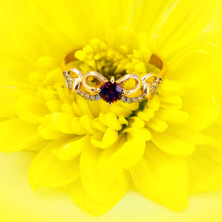 Golden jewelry accessories  with brilliants and ruby on yellow flower