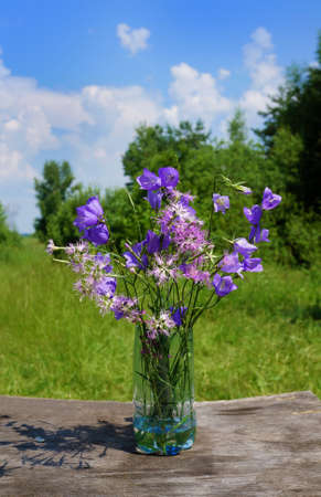 Summer nature,  blossom wild flowers in waterの写真素材