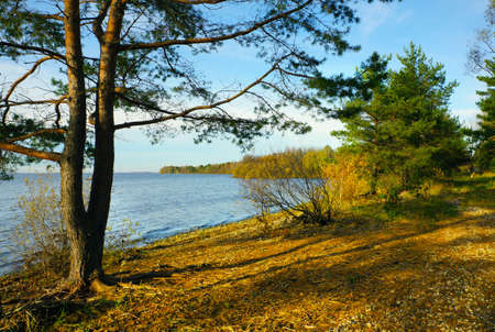 Autumnal nature, scenery. Kostomskoye reservoir (sea)の写真素材