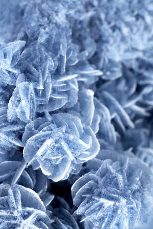 Texture of nature - gem desert rose close - upの写真素材