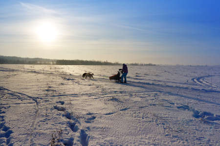 Winter, north fields, to drive in a sledge with siberian husky, landscapeの写真素材
