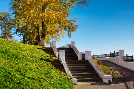 Autumnal nature, scenery in central park の写真素材