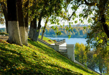 Autumnal nature, scenery in central park の写真素材