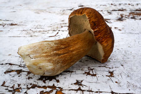 Mushroom cep on old wooden table , harvest in autumn seasonの写真素材