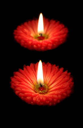 Floral two candles for a valentines dayの写真素材
