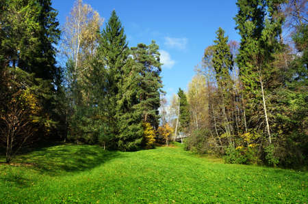 Autumnal city, Russia, Kostromsky regionの写真素材