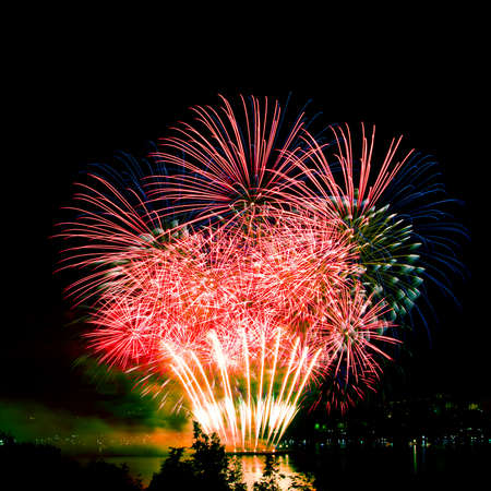 Celebratory bright firework in a night sky