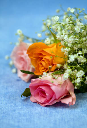Floral composition, roses in Bouquet on blue velvetの写真素材
