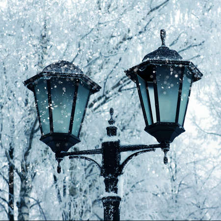 Winter picture. light outdoorの写真素材