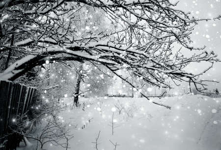 Winter landscape, snowstorm