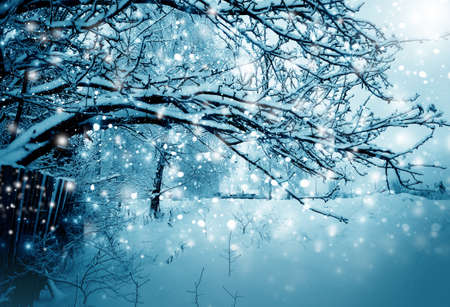 Winter magic natureの写真素材
