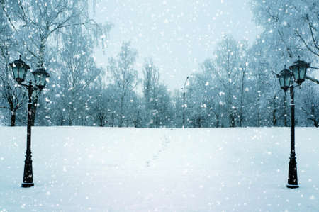 Winter park, snowstormの写真素材