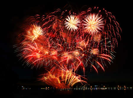Beautiful colorful firework in a night sky