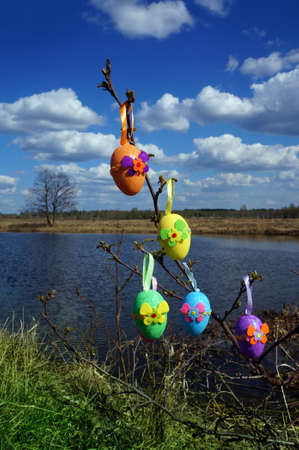 Easter color eggs on sunny spring nature