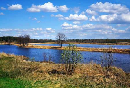 Spring landscape, scenery of nature - river
