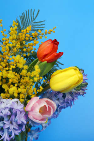 Beautiful flowers in garden, background for postcardの写真素材