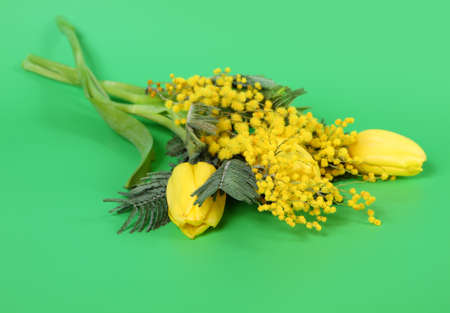 Beautiful spring flowers tulipsの写真素材