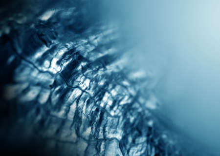 Natural gemstone nacre pearl close-up, beautiful texture of gemstone