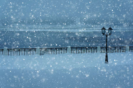 Winter nature, snow and snowy trees  in forestの写真素材