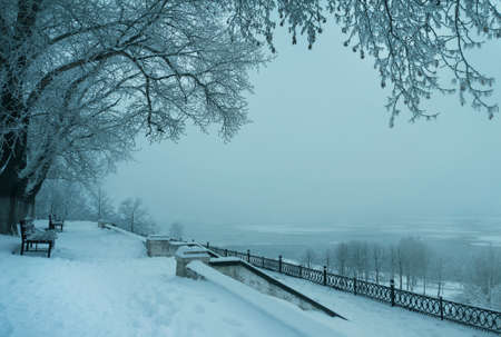 Winter nature, snow and snowy trees  in forestの写真素材