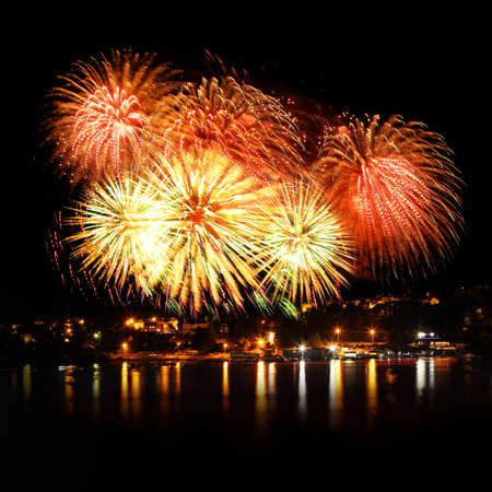 Celebratory bright firework in a night sky 