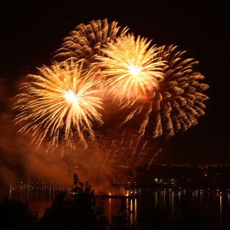 Celebratory bright firework in a night sky 