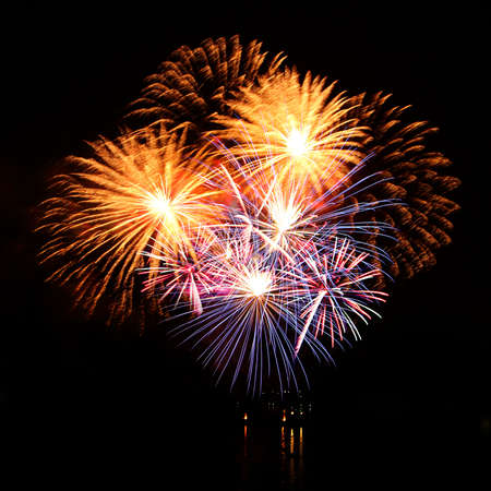Celebratory bright firework in a night skyの写真素材
