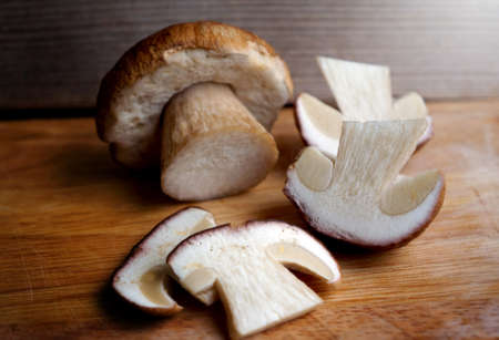 Food  ingredient -  mushrooms cep in a summer seasonの写真素材