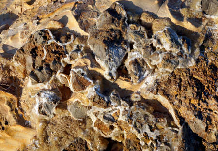 Texture of geologic stone  close - up, natural backgroundの写真素材