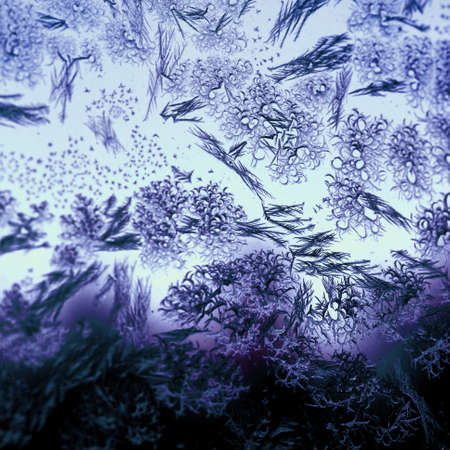 Natural frosty pattern on a winter window