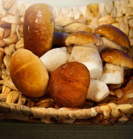 Autumn season, mushroom cep in a basketの写真素材