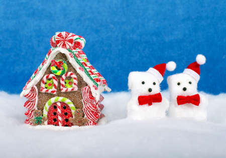 Christmas decor for design xmas cards, banners and  siteの写真素材