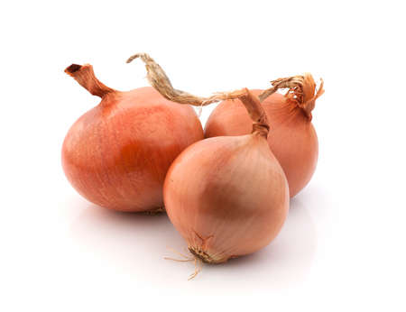 Closeup of golden onion on white background.の写真素材