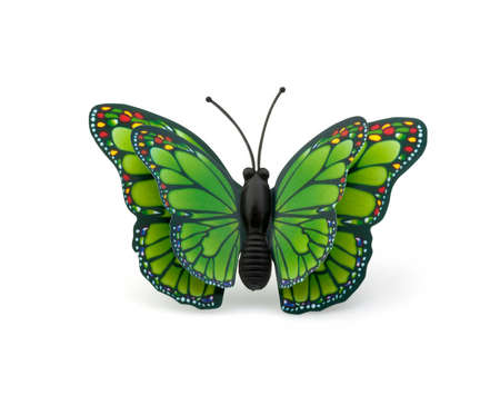 Beautiful green butterfly on a white backgroundの写真素材