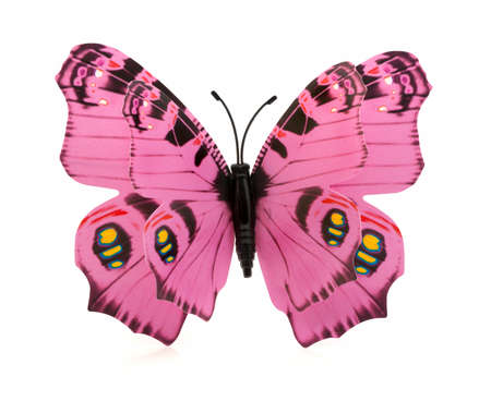 Beautiful pink butterfly on a white backgroundの写真素材