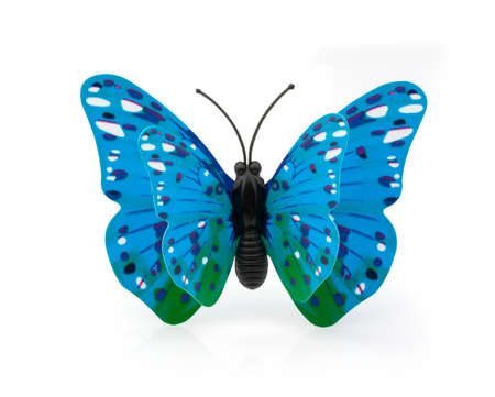 Beautiful blue butterfly on a white backgroundの写真素材