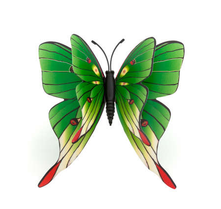 Green Butterfly on a White Backgroundの写真素材