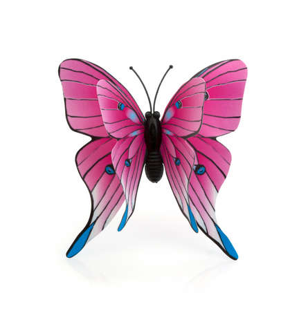 Pink Butterfly on a White Backgroundの写真素材