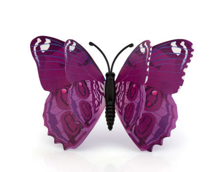 Pink Butterfly on a White Backgroundの写真素材