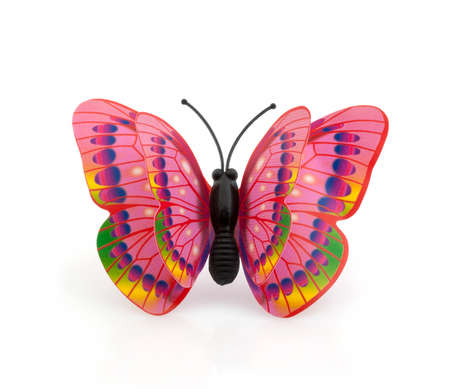 Colorful butterfly on a white backgroundの写真素材