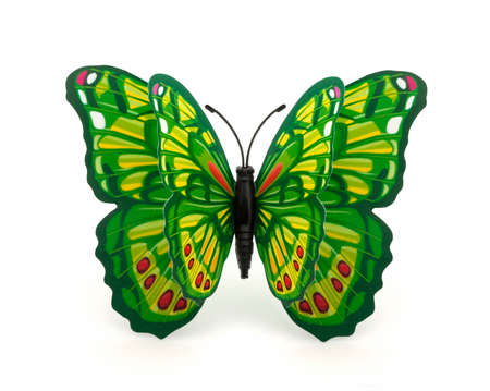 Beautiful green with a brown butterfly on a white backgroundの写真素材