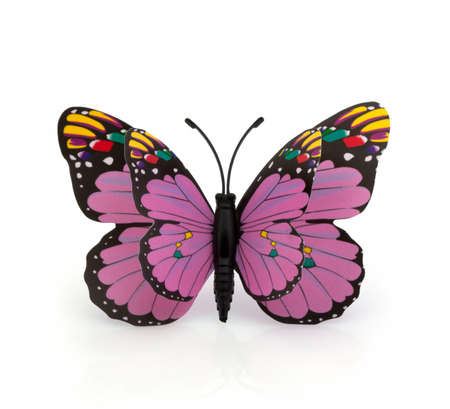 Beautiful colorful butterfly on a white backgroundの写真素材