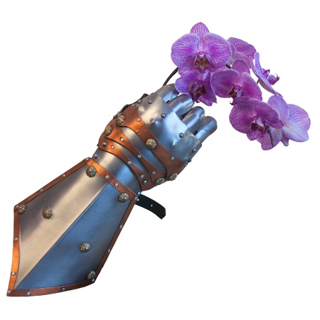 knight glove holds the orchid flowerの写真素材