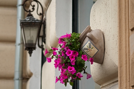 ornamental flowerpot with pink flowers on the building wallの写真素材