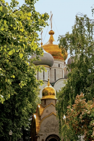 Novodevichy Convent - view on the cathedral and chapel from the treesの写真素材
