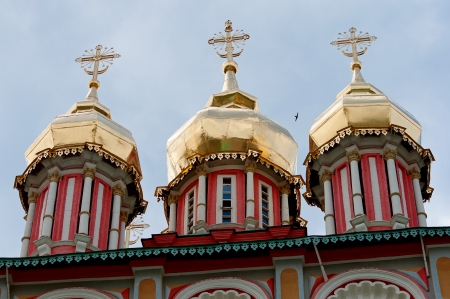 Church's cupola close up in the Novodevichy Monastery
