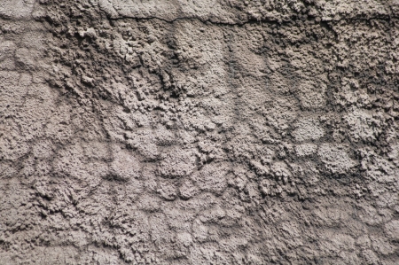 background of the gray stone wall with curlicue shadowsの写真素材
