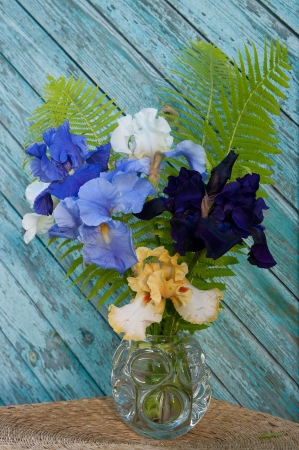still life with irisesの写真素材